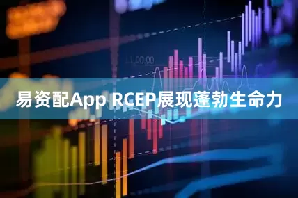 易资配App RCEP展现蓬勃生命力